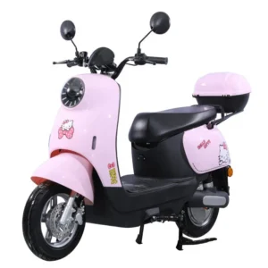 Electric Vehicles Car 20A 24A 32A 38A Fast Char…